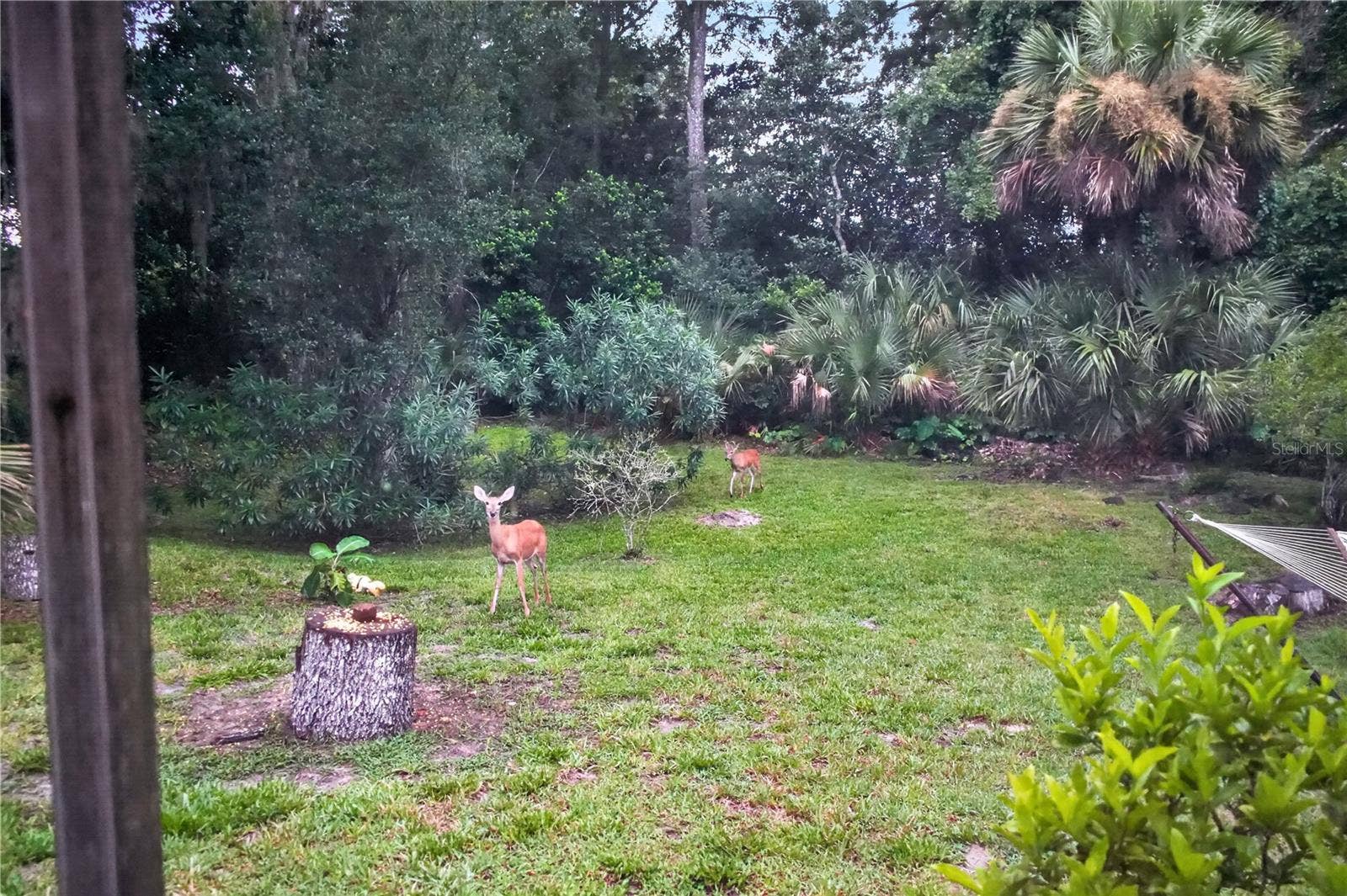 1384 ALEUT LANE, Ormond Beach, FL 32174