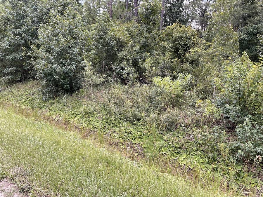 Property photo for 10210 VAUGHAN AVENUE, Hastings, FL