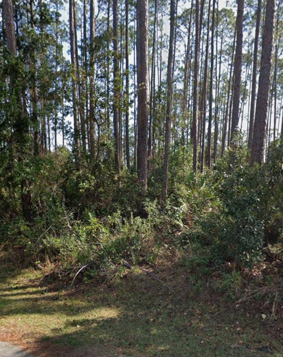 21 ERICKSON PLACE, Palm Coast, FL 32164 21 ERICKSON PLACE, Palm Coast, FL 32164