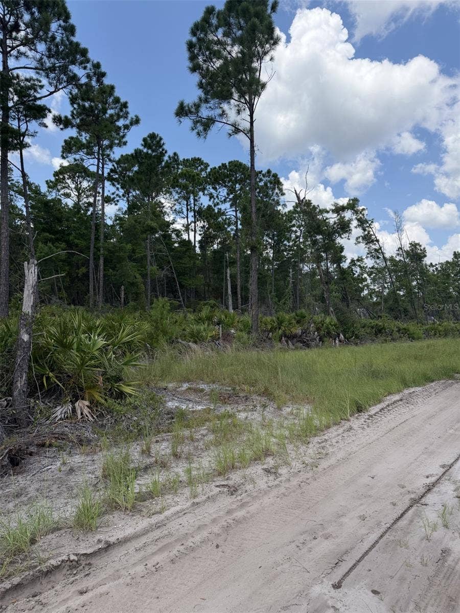 00 RIDGEHAVEN AVENUE, Ormond Beach, FL 32174