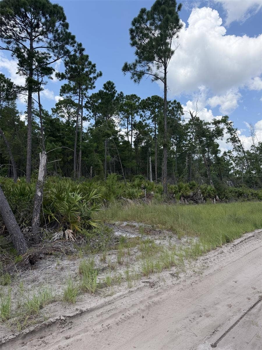 00 RIDGEHAVEN AVENUE, Ormond Beach, FL 32174