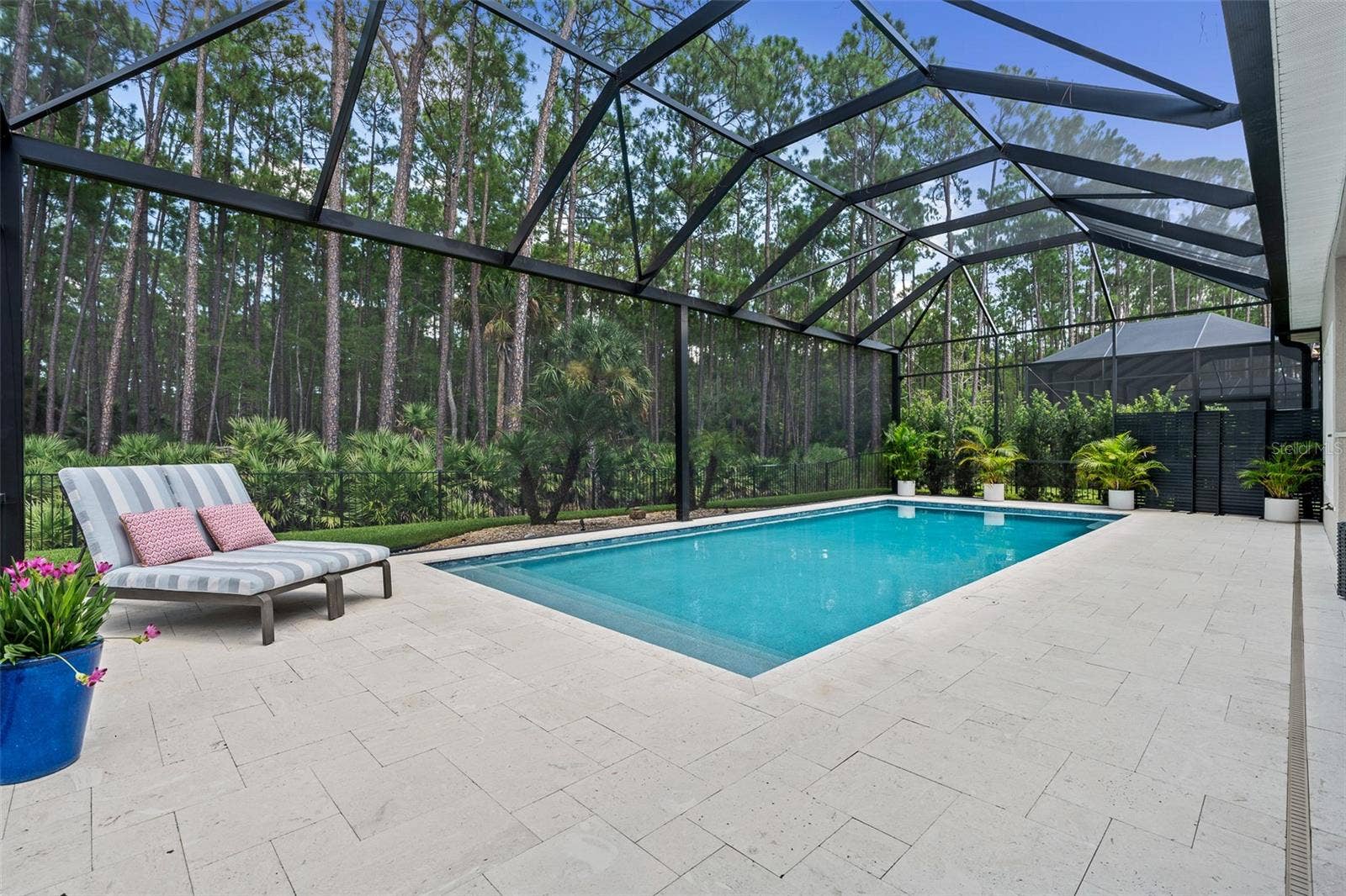 463 STIRLING BRIDGE DRIVE, Ormond Beach, FL 32174 Pool with mega view screening