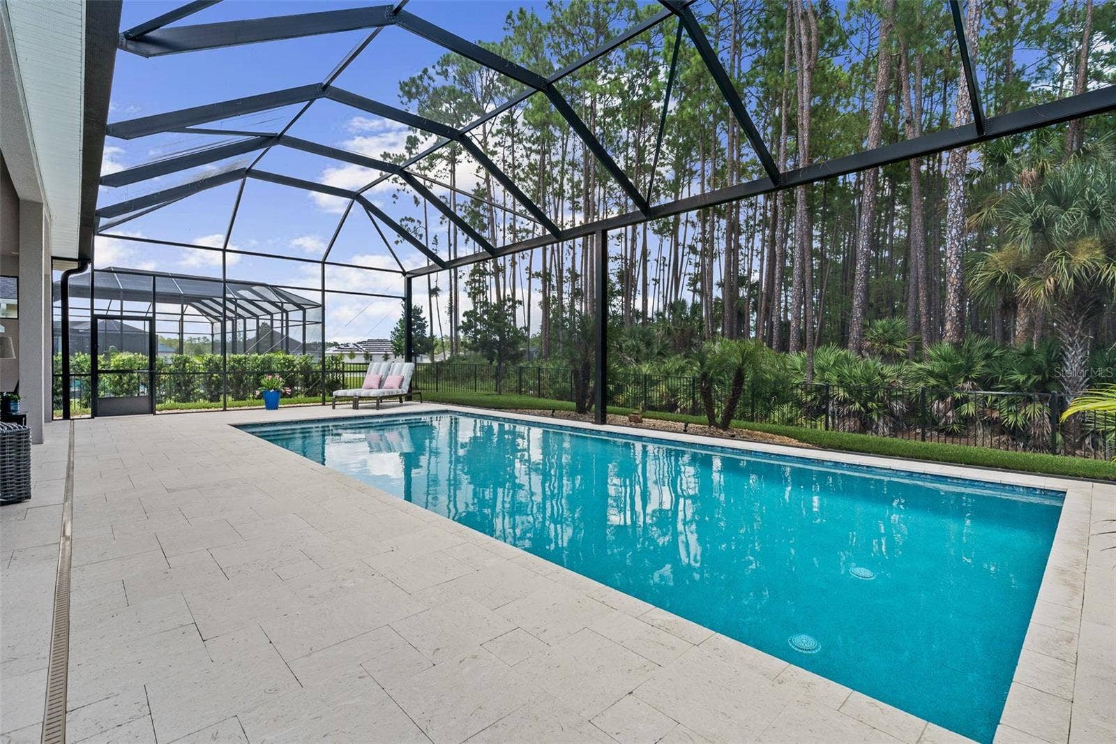 463 STIRLING BRIDGE DRIVE, Ormond Beach, FL 32174 Pool with mega view screening