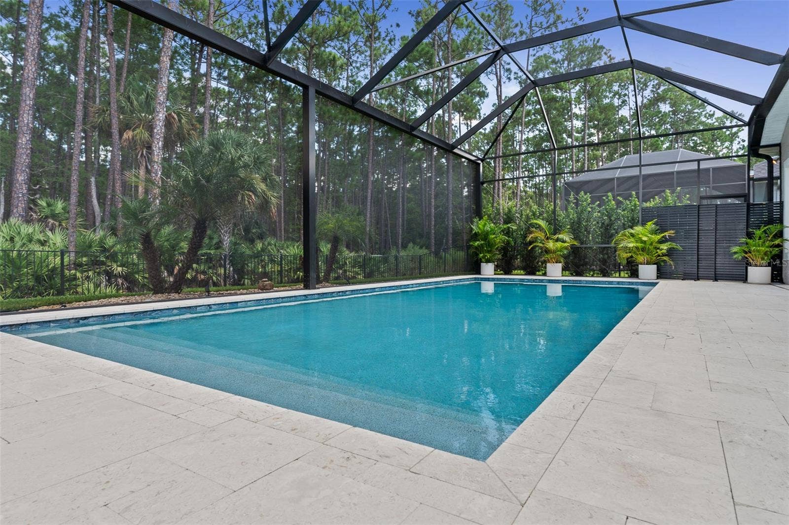 463 STIRLING BRIDGE DRIVE, Ormond Beach, FL 32174 Pool with mega view screening