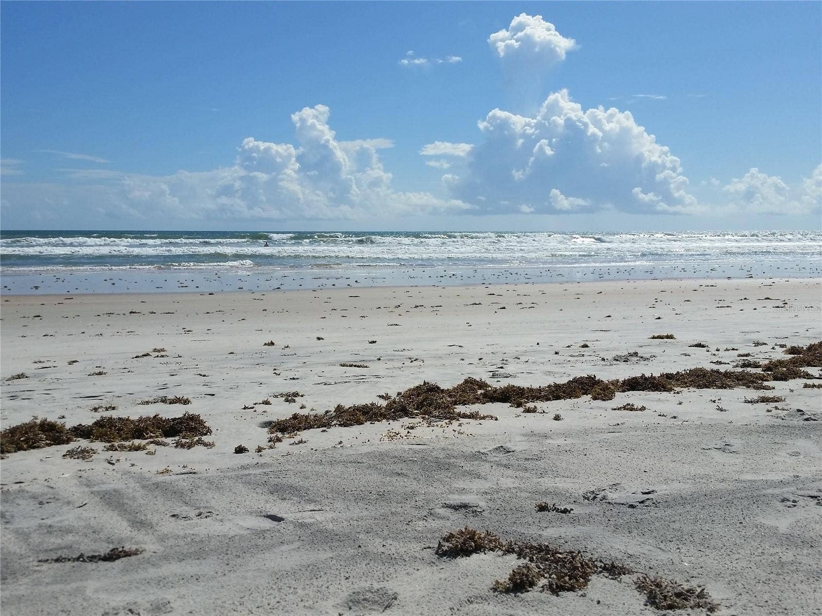 16 LAUREL OAKS CIRCLE, Ormond Beach, FL 32174 16 LAUREL OAKS CIRCLE, Ormond Beach, FL 32174