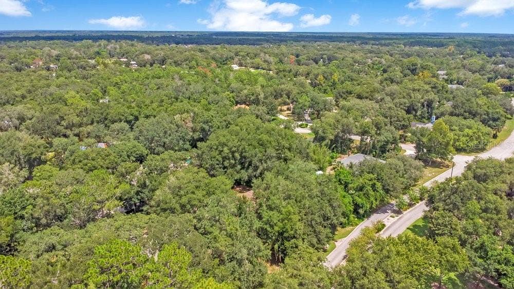 288 CROOKED TREE TRAIL, Deland, FL 32724 288 CROOKED TREE TRAIL, Deland, FL 32724