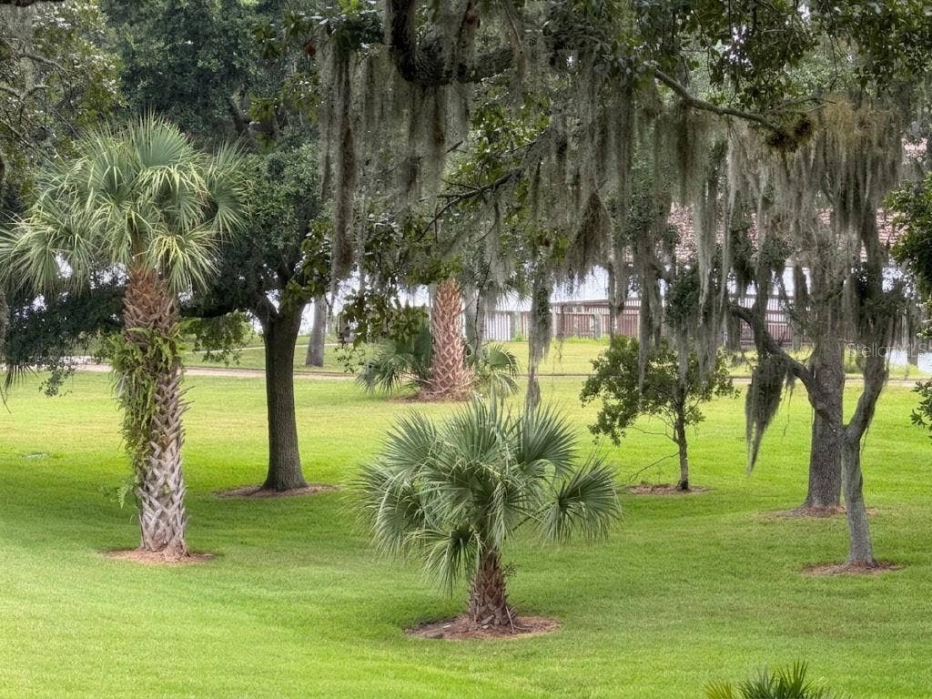115 RIVERVIEW BEND S, #2123, Palm Coast, FL 32137 Green And Lush
