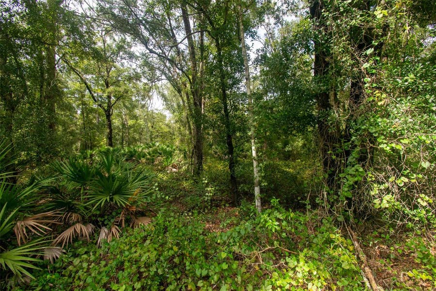 Property photo for 4730 PALATKA BOULEVARD, Hastings, FL