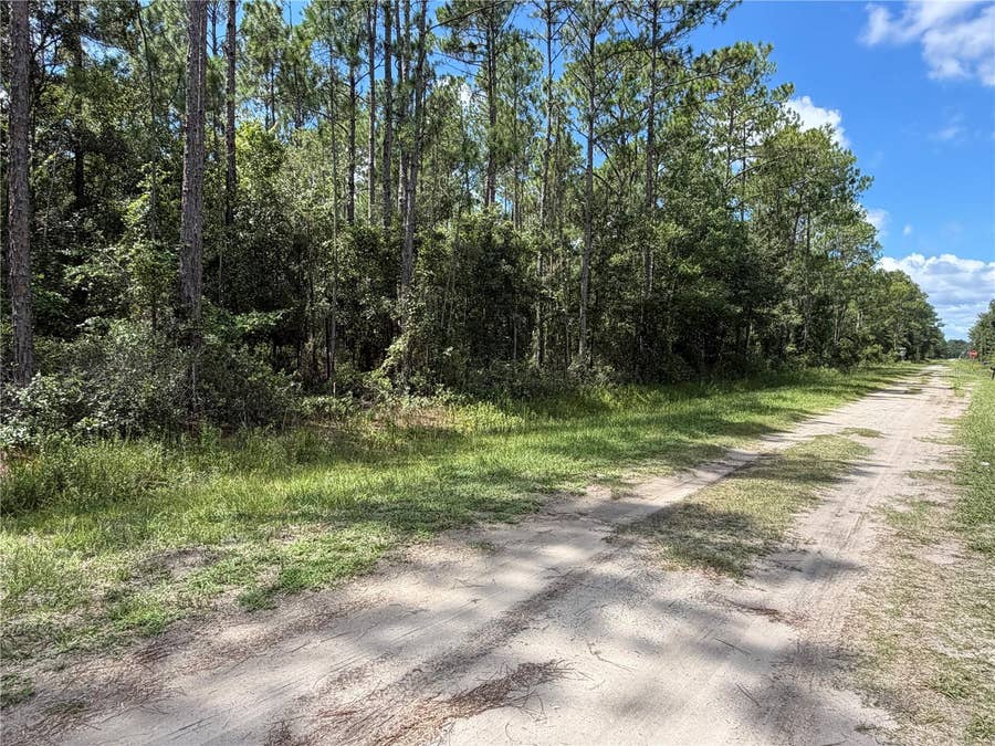 Property photo for 4265 GLADYS STREET, Hastings, FL