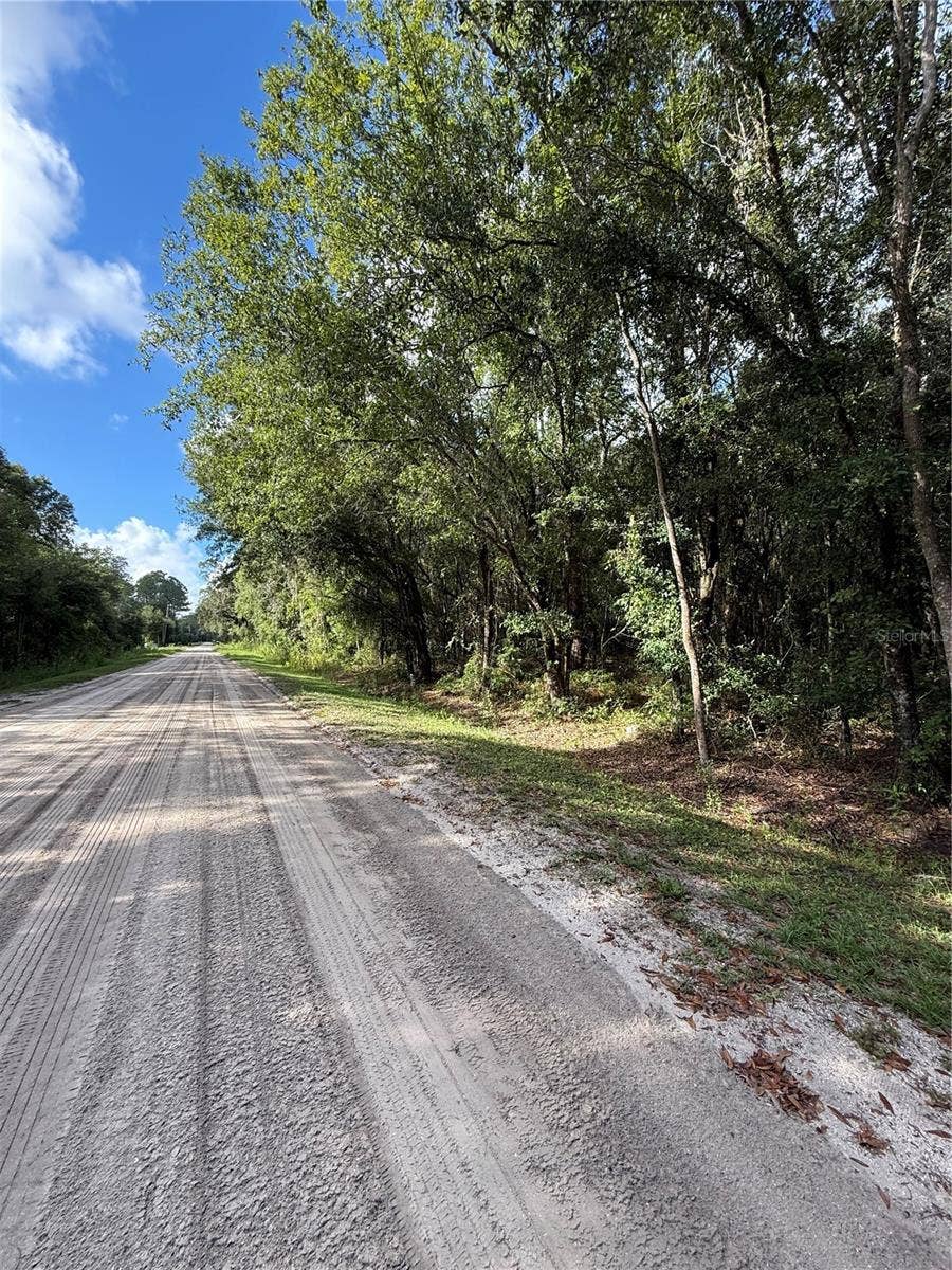 Property photo for 1166 HONEYTREE STREET, Bunnell, FL