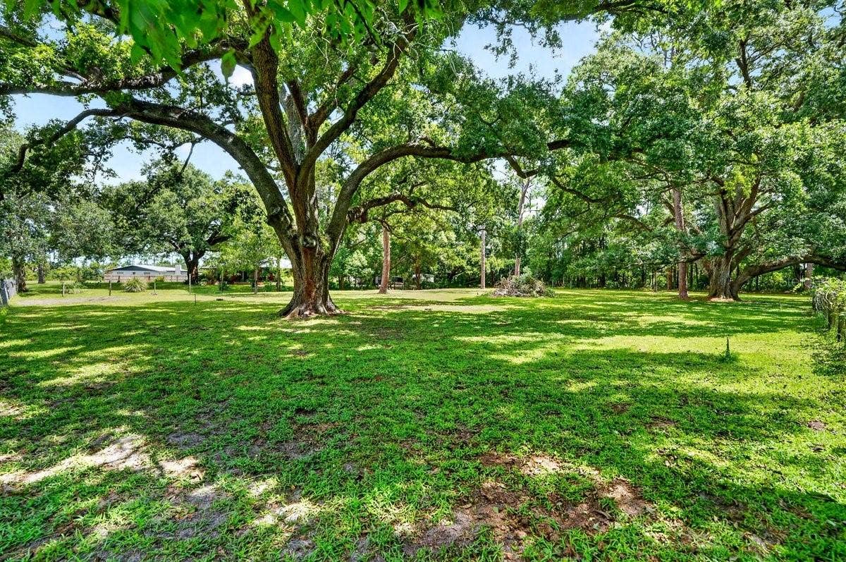 779 TIMOTHY STREET, Ormond Beach, FL 32174