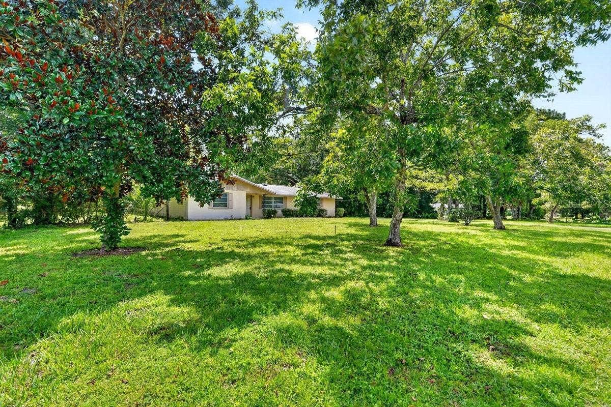 779 TIMOTHY STREET, Ormond Beach, FL 32174