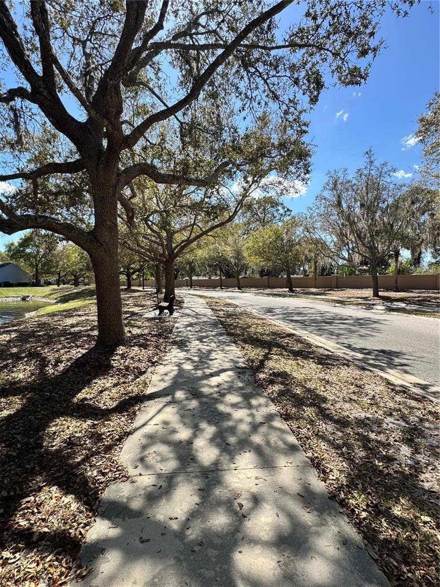 341 CHELSEA PLACE AVENUE, Ormond Beach, FL 32174