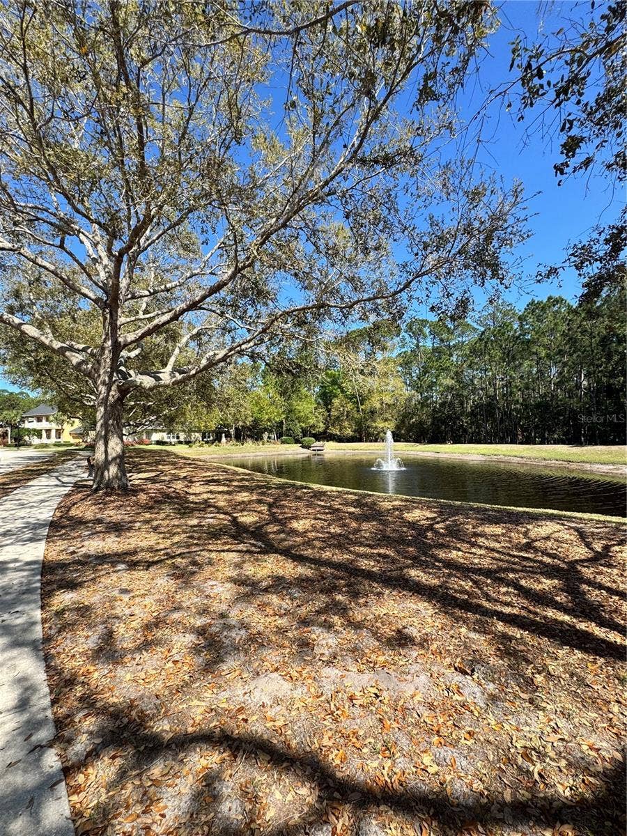 341 CHELSEA PLACE AVENUE, Ormond Beach, FL 32174