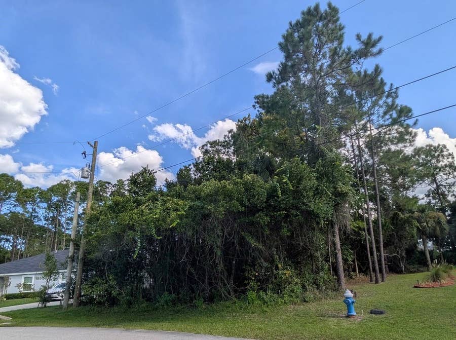 Property photo for 7 SECKEL CT, Palm Coast, FL