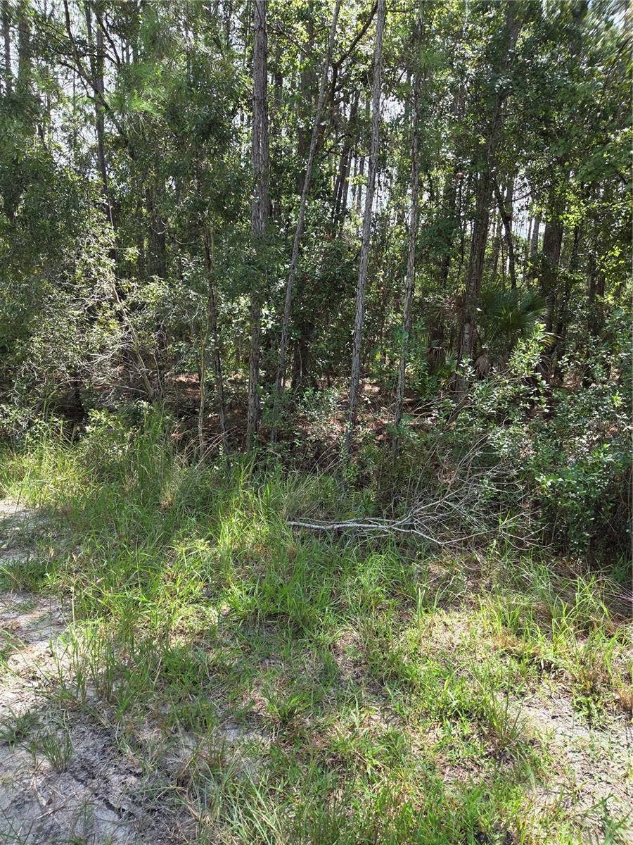 Property photo for SW 140TH AVE, Ocala, FL
