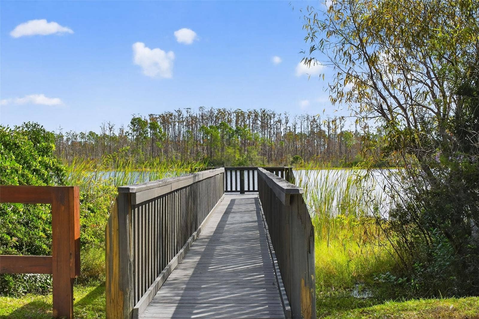 890 CENTRAL AVENUE, #E100, Palm Coast, FL 32164 890 CENTRAL AVENUE, #E100, Palm Coast, FL 32164