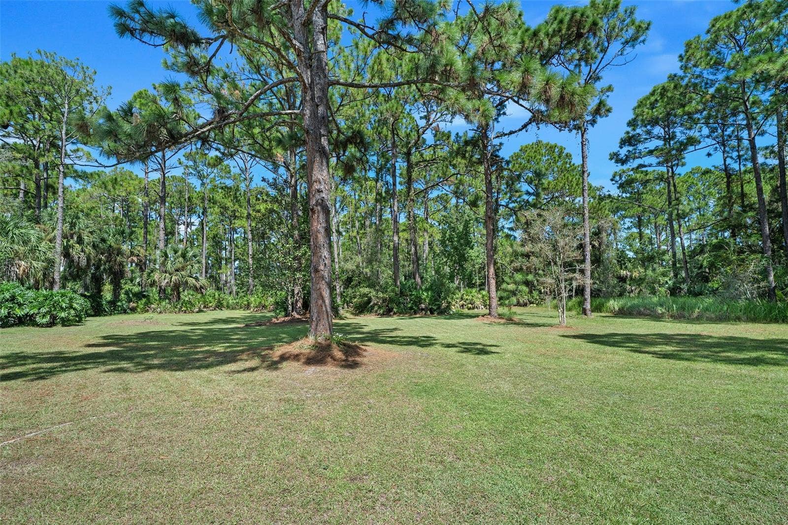 45 WINCHESTER ROAD, Ormond Beach, FL 32174 45 WINCHESTER ROAD, Ormond Beach, FL 32174