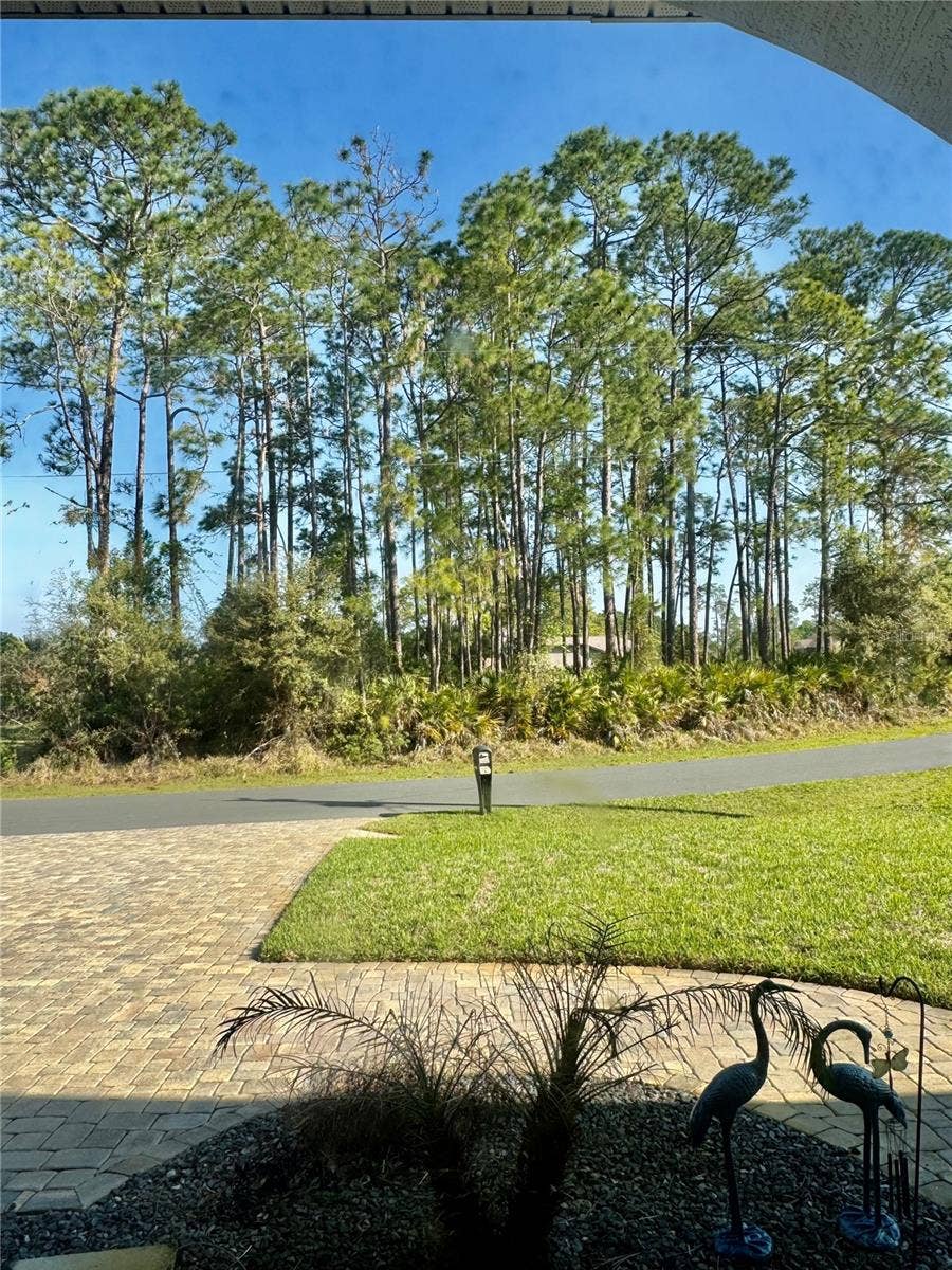 54 WOODWORTH DRIVE, Palm Coast, FL 32164 54 WOODWORTH DRIVE, Palm Coast, FL 32164
