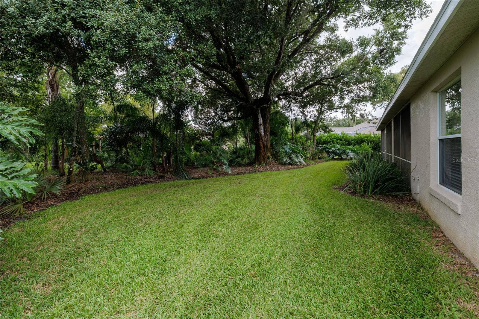 3626 MALLOW DRIVE, Ormond Beach, FL 32174 Backyard