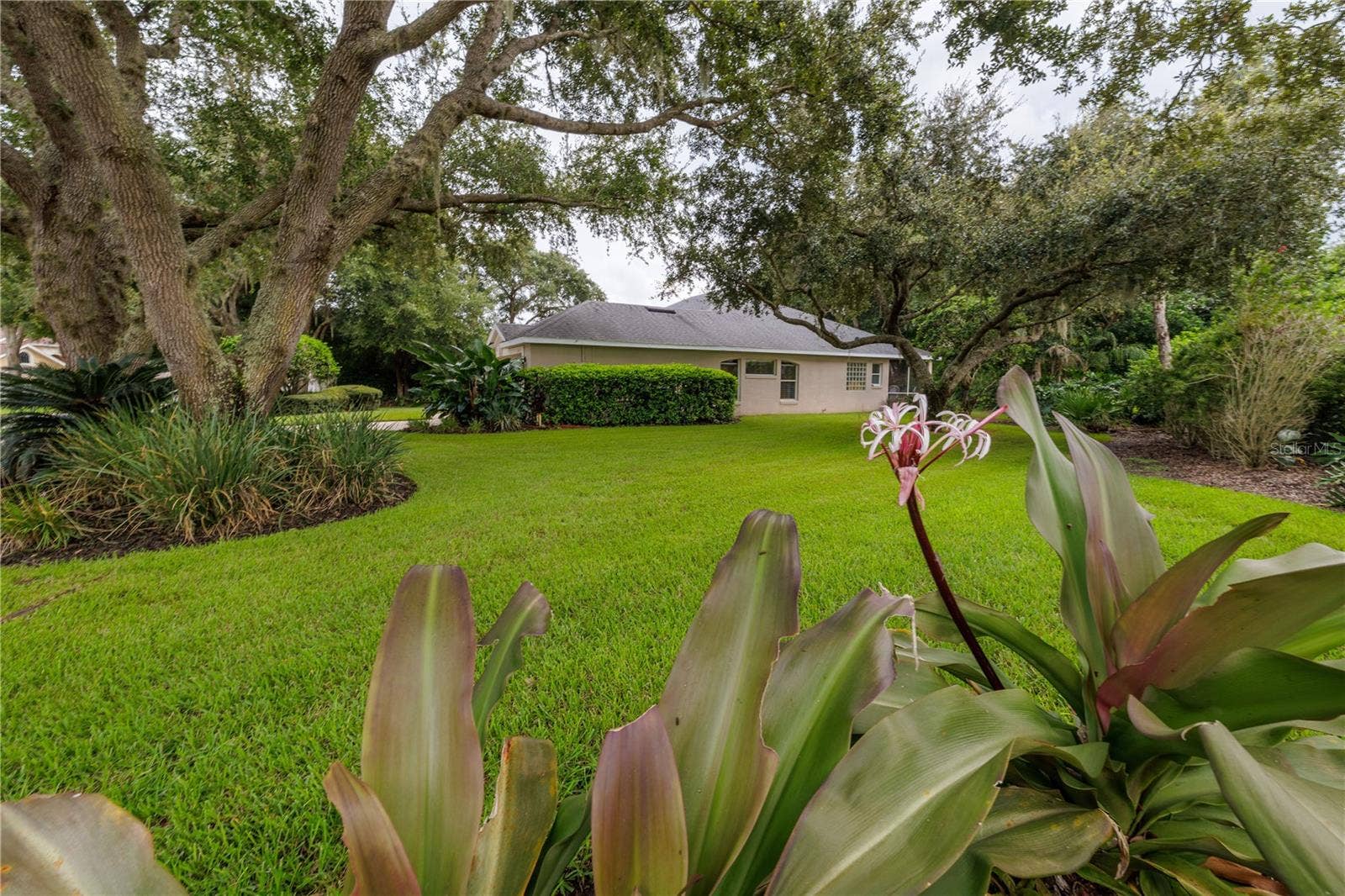 3626 MALLOW DRIVE, Ormond Beach, FL 32174 Backyard