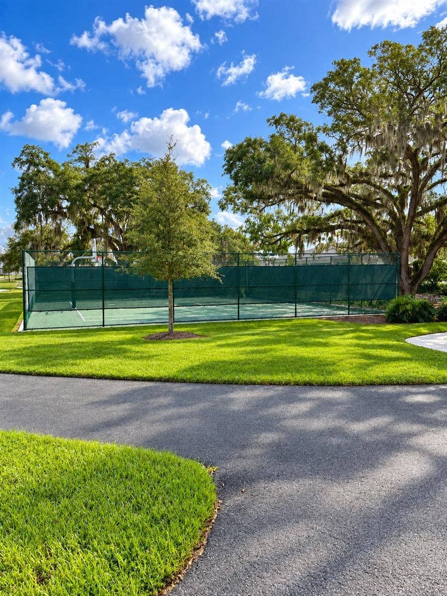 basketball court