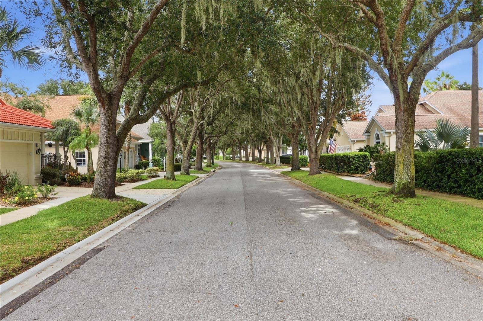 Tree lined streets