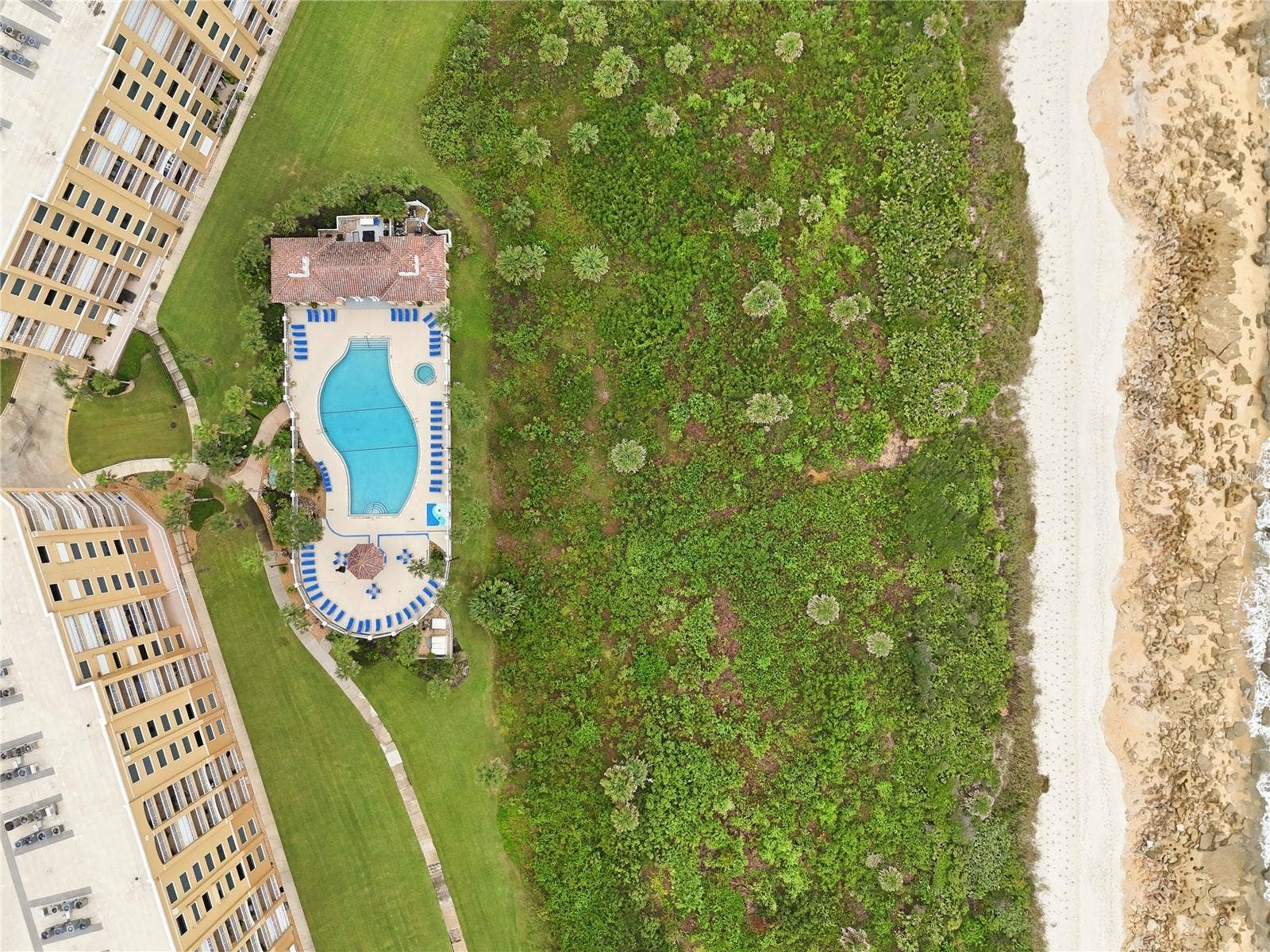 From above, the coastline reveals itself  pool, palms, and the ocean's edge