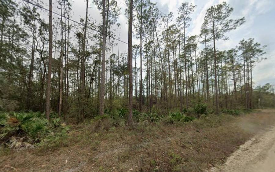 Property photo for 0 GLISSON STREET, Interlachen, FL
