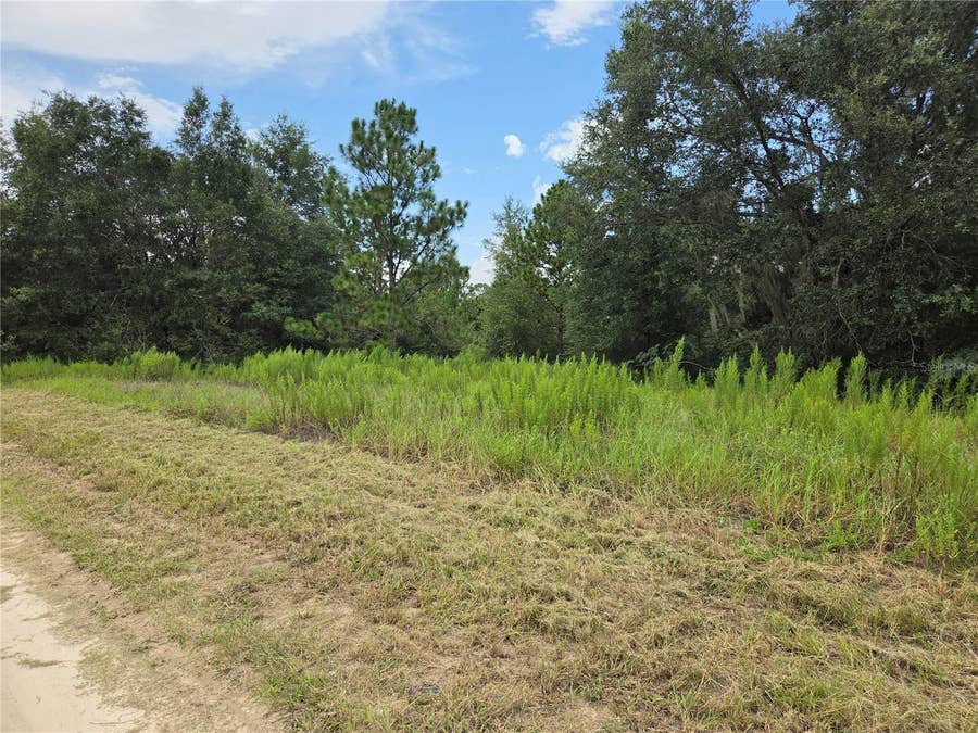 Property photo for 0 SW 144TH COURT, Ocala, FL