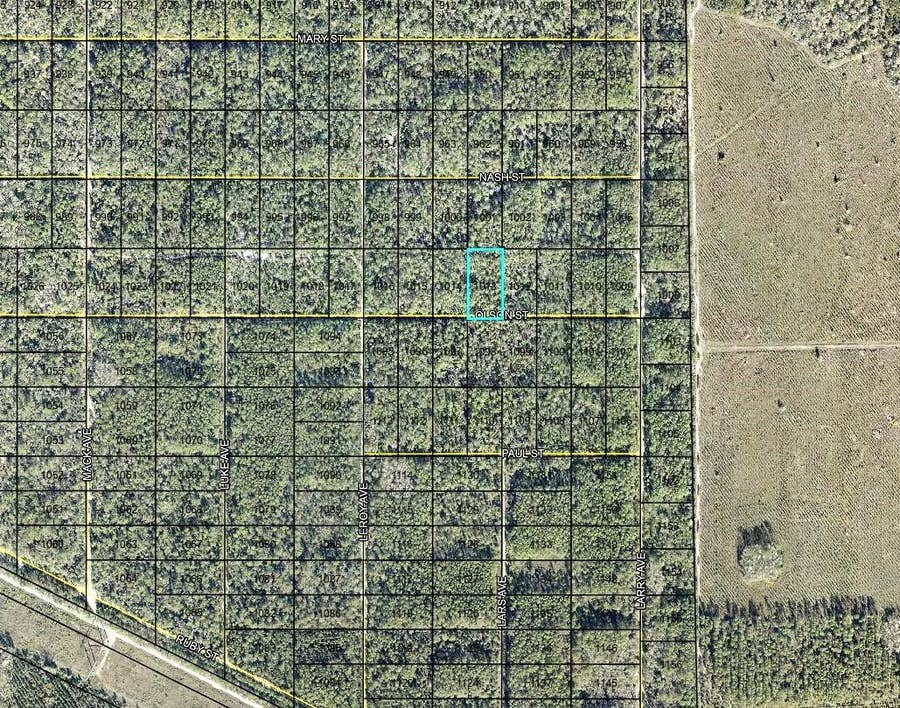 Property photo for LT 1013 OLSON STREET, Hastings, FL
