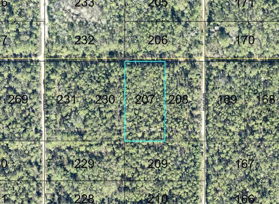Property photo for 207 DONNA STREET, Hastings, FL