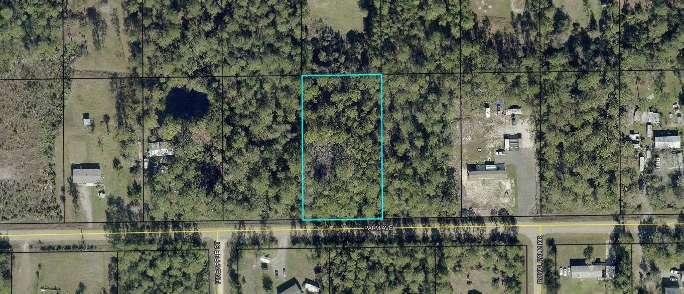 5794 PALM AVENUE, Bunnell, FL 32110 5794 PALM AVENUE, Bunnell, FL 32110