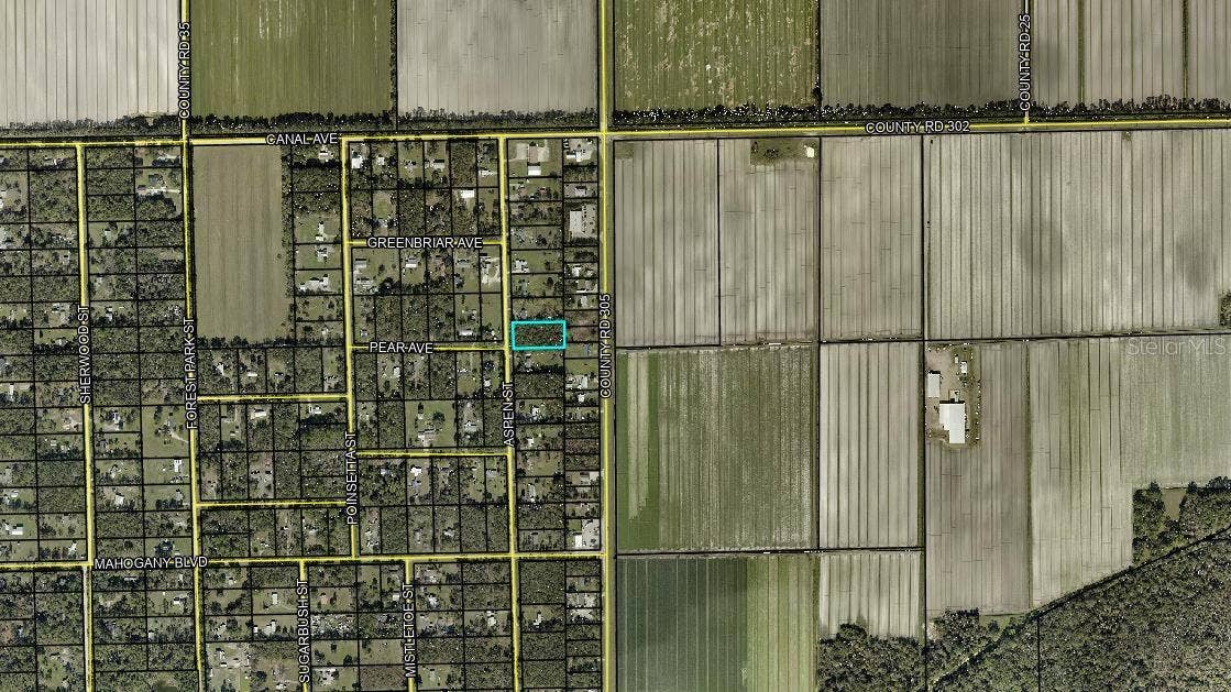 1233 ASPEN STREET, Bunnell, FL 32110 1233 ASPEN STREET, Bunnell, FL 32110