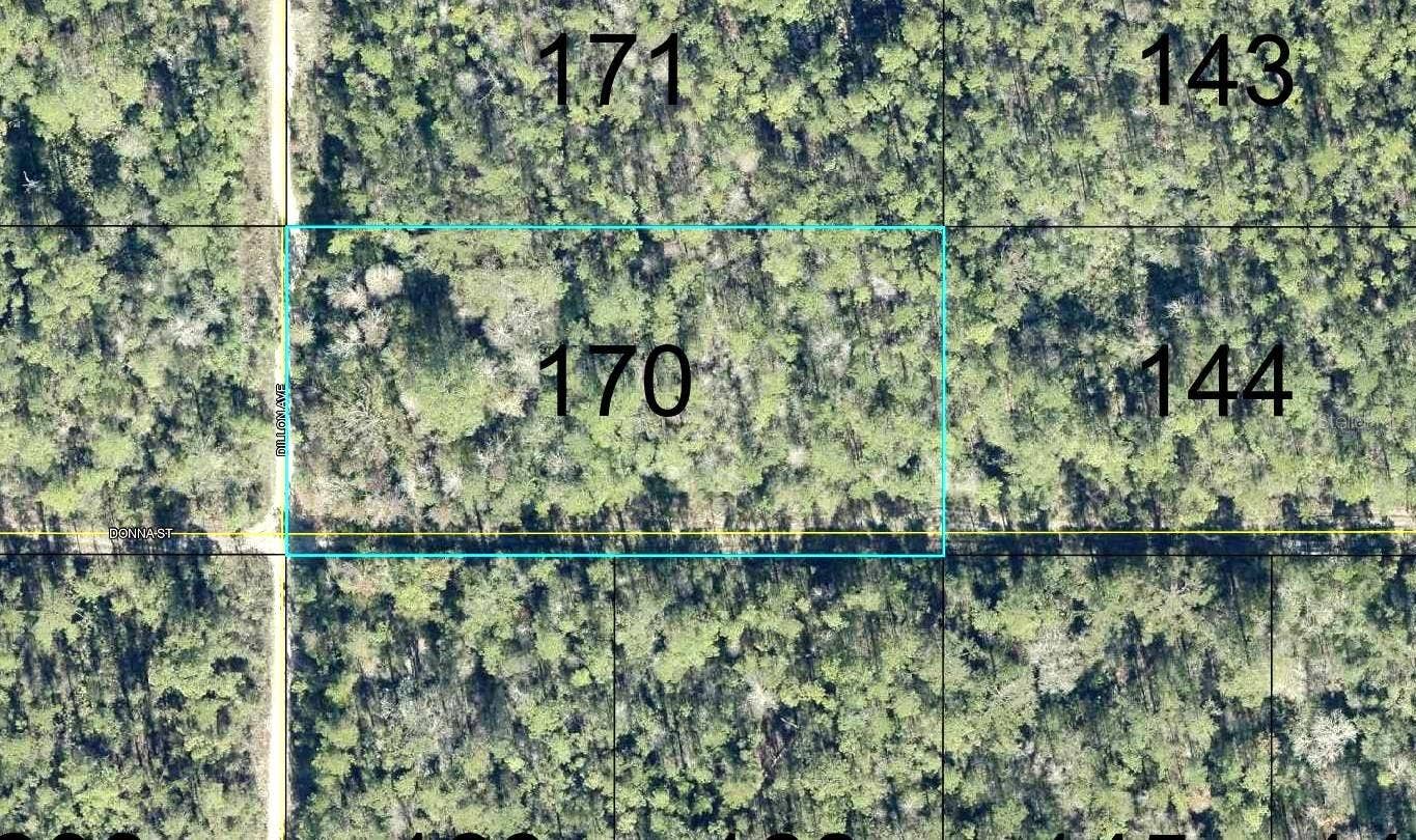 170 DILLLION AVENUE, Hastings, FL 32145