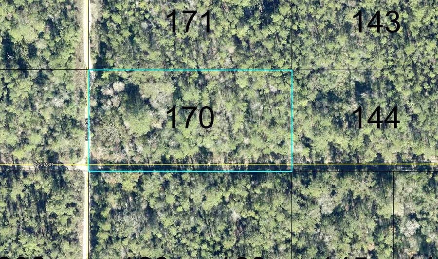 Property photo for 170 DILLLION AVENUE, Hastings, FL