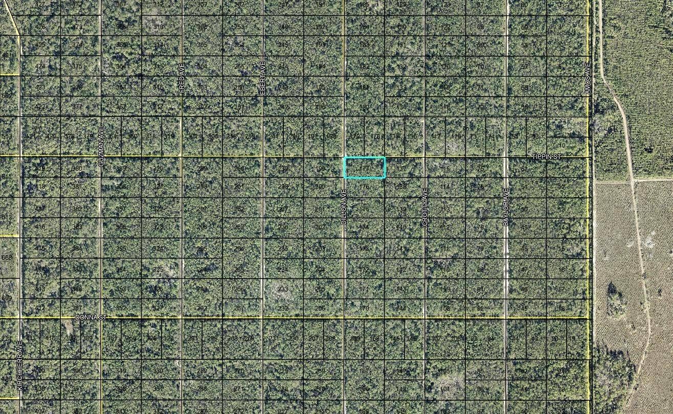 177 DILLION AVENUE, Hastings, FL 32145