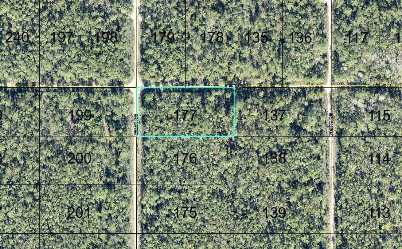 177 DILLION AVENUE, Hastings, FL 32145