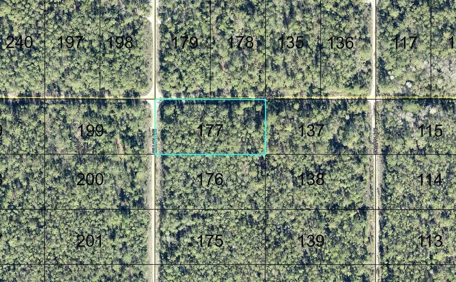 Property photo for 177 DILLION AVENUE, Hastings, FL