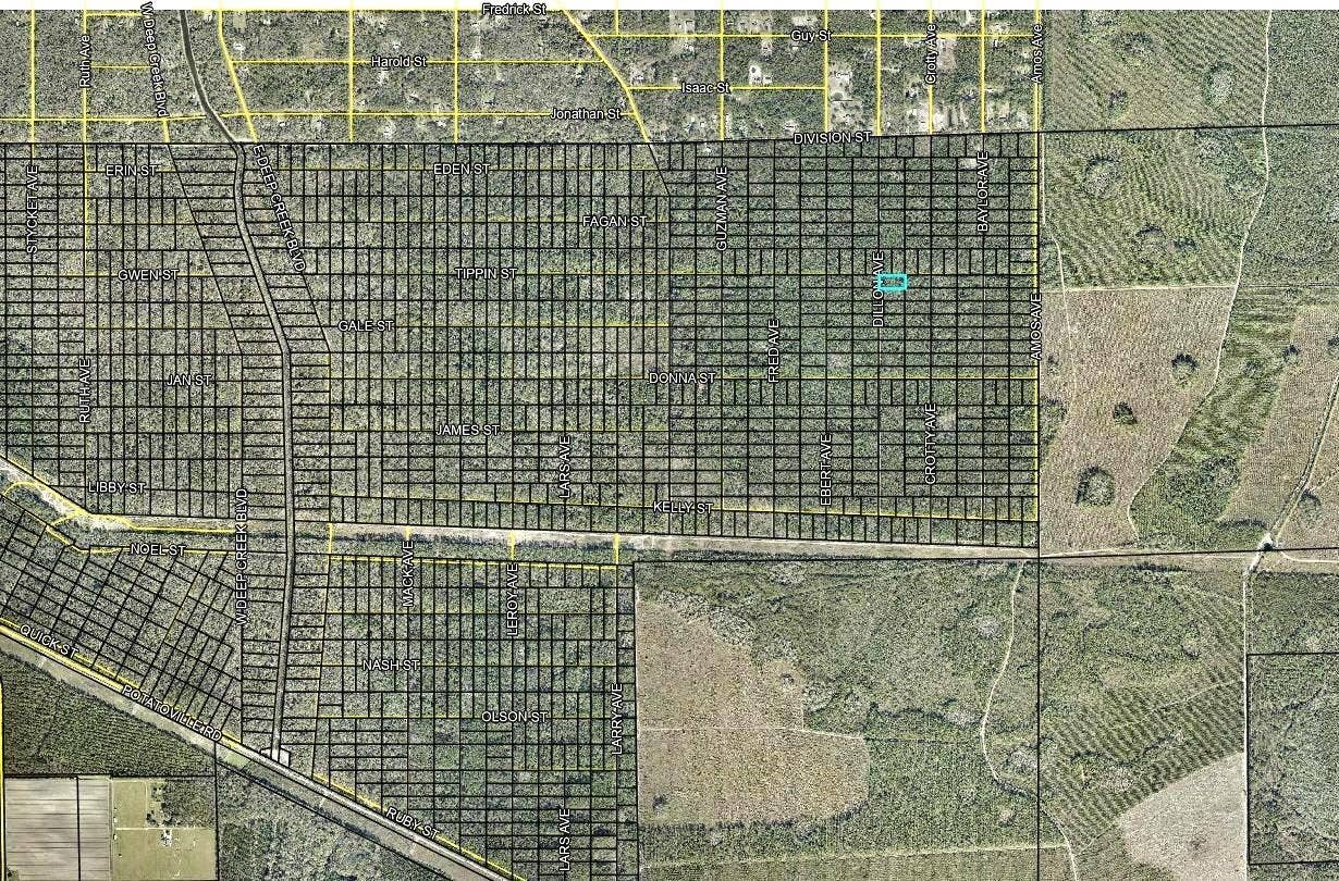 177 DILLION AVENUE, Hastings, FL 32145