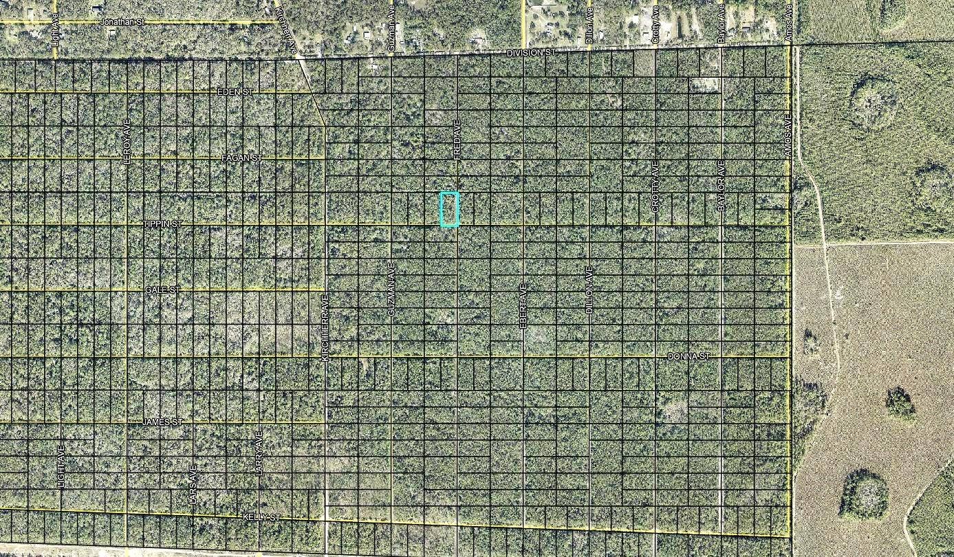 319 TIPPIN STREET, Hastings, FL 32145