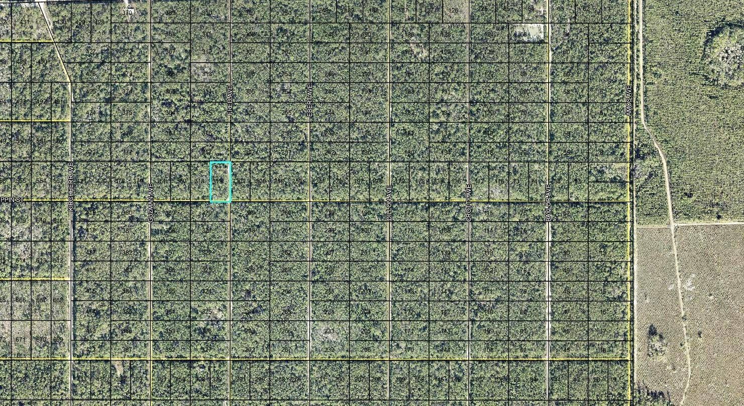319 TIPPIN STREET, Hastings, FL 32145