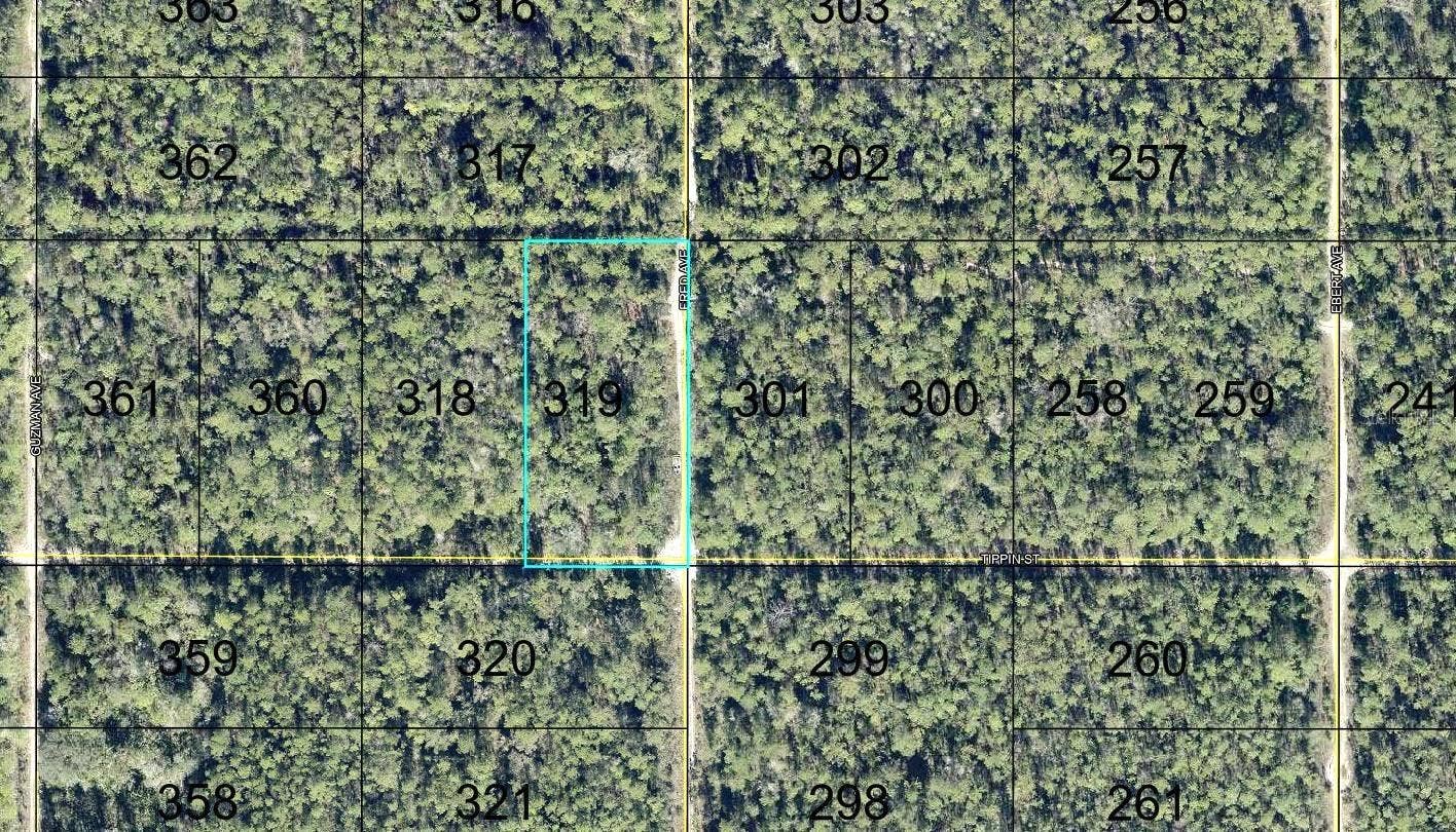 319 TIPPIN STREET, Hastings, FL 32145