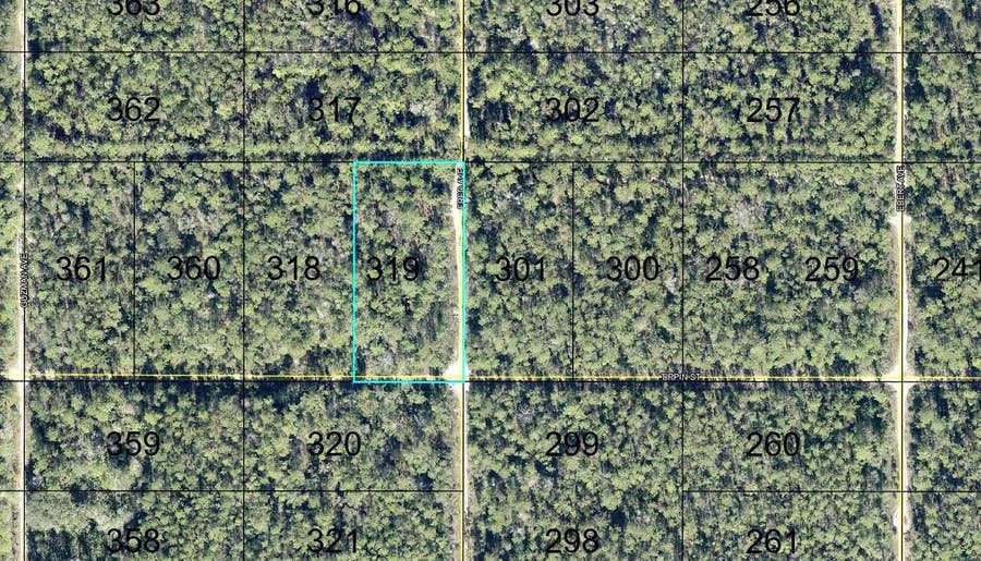 Property photo for 319 TIPPIN STREET, Hastings, FL