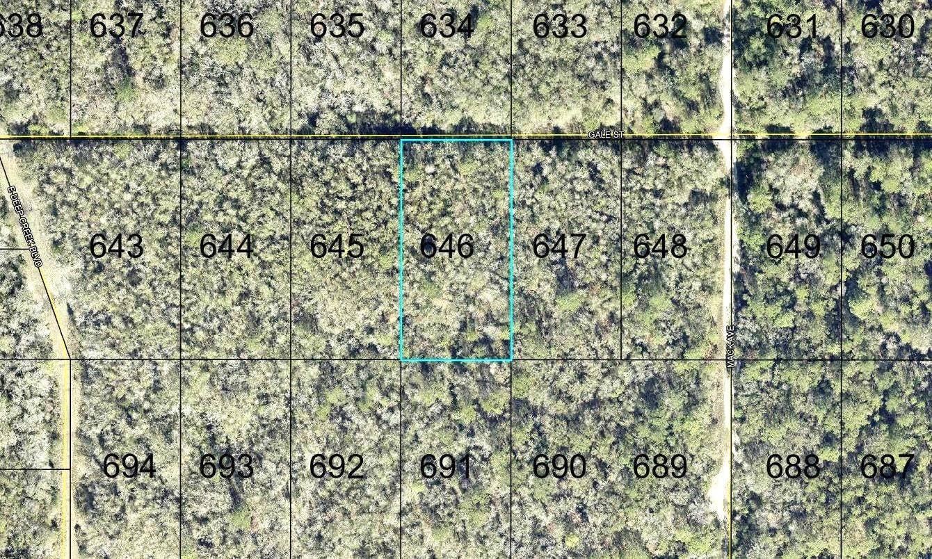 646 GALE STREET, Hastings, FL 32145 646 GALE STREET, Hastings, FL 32145