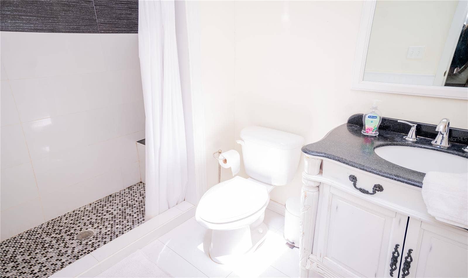 Primary bathroom featuring an ensuite layout and a skylight that fills the space with natural light.