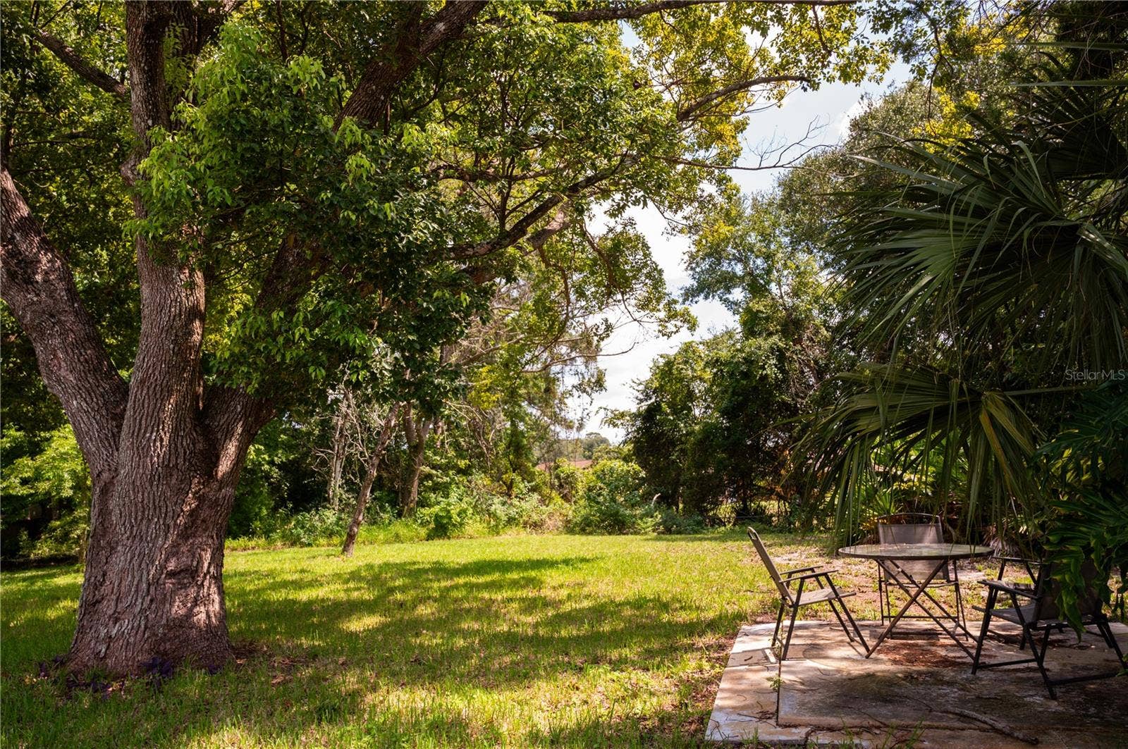 Beautifully situated on a lot surrounded by mature, established shade trees.