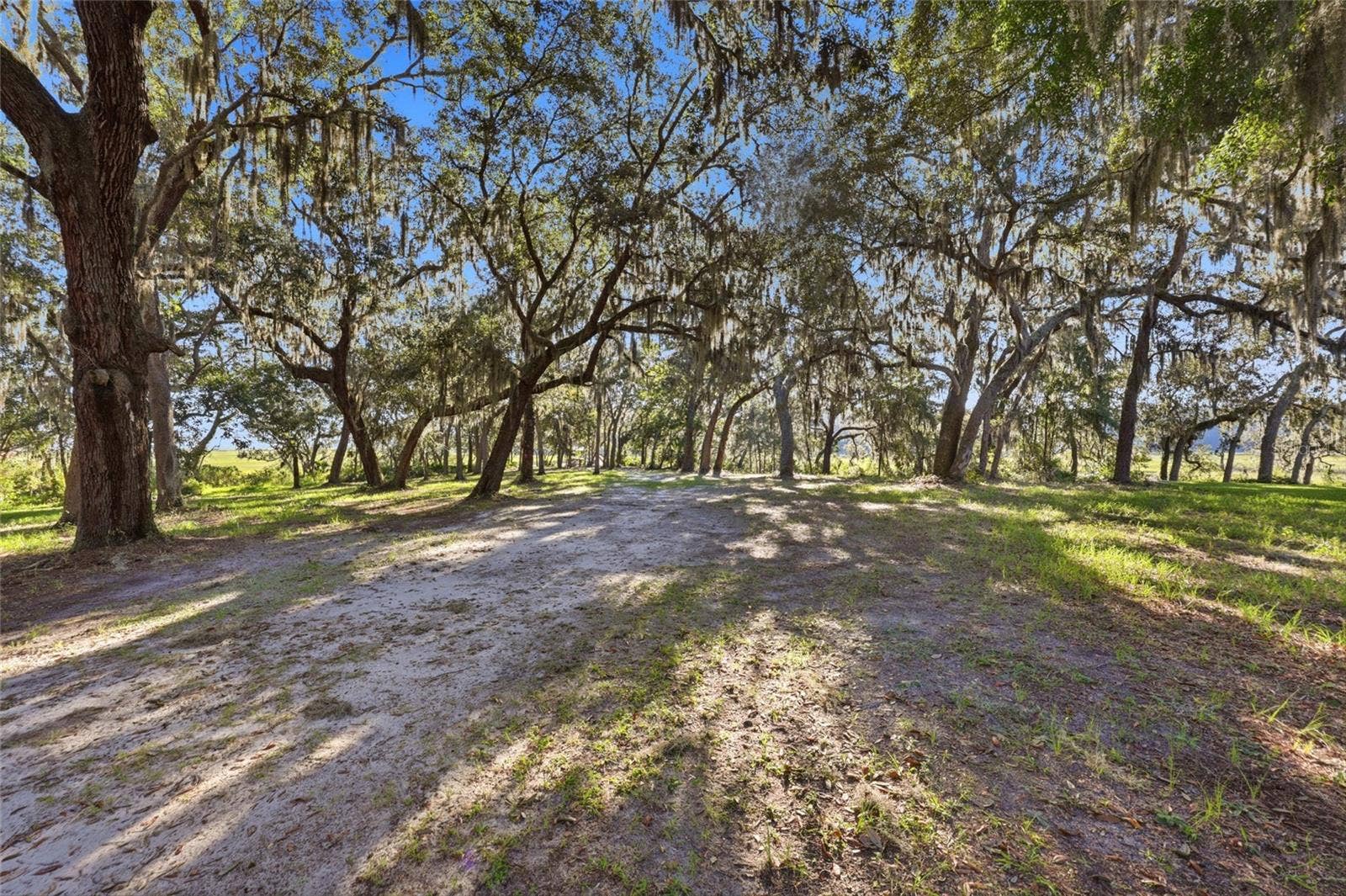 29023 GRANDVIEW MANOR, Yulee, FL 32097 29023 GRANDVIEW MANOR, Yulee, FL 32097