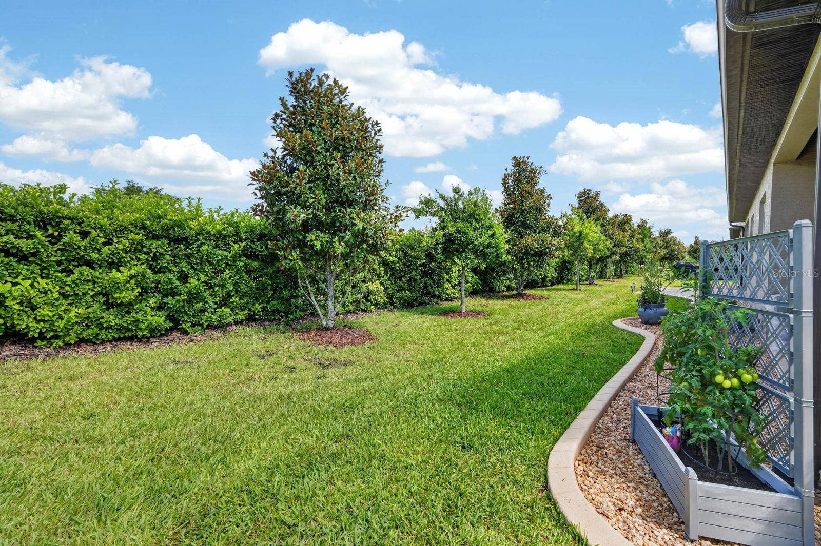 3250 BAILEY ANN DRIVE, Ormond Beach, FL 32174 Yard