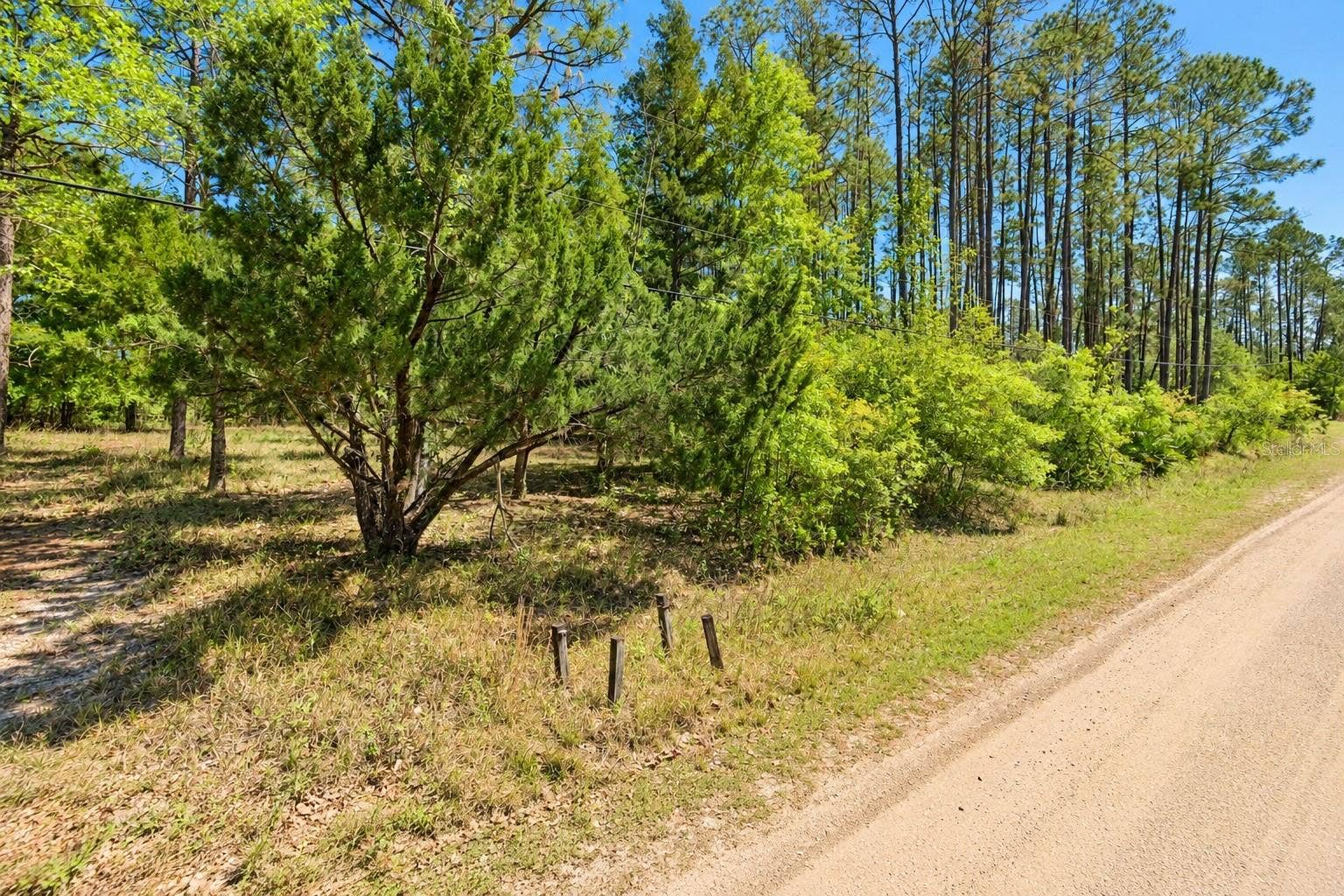2313 GROVE STREET, Bunnell, FL 32110 2313 GROVE STREET, Bunnell, FL 32110